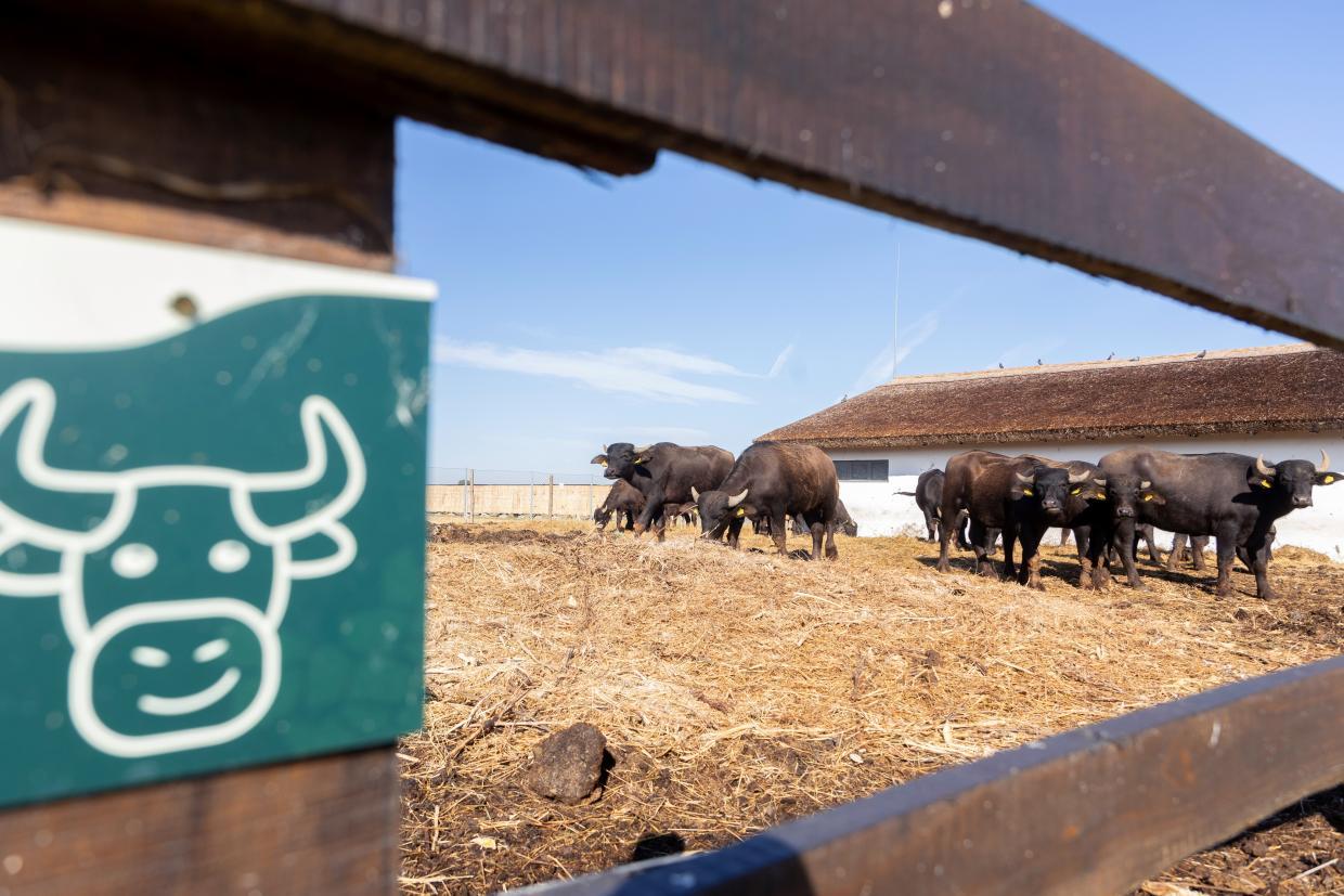 Image default